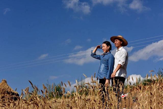 1540173243290421.jpg 4.jpg