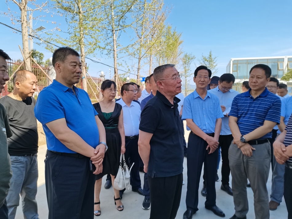 1594287923140038.jpg 6.jpg