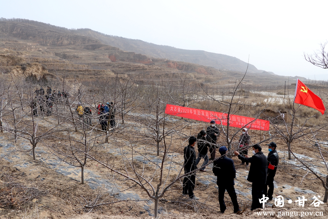 战疫情 保春耕 春管春护有保障.jpg