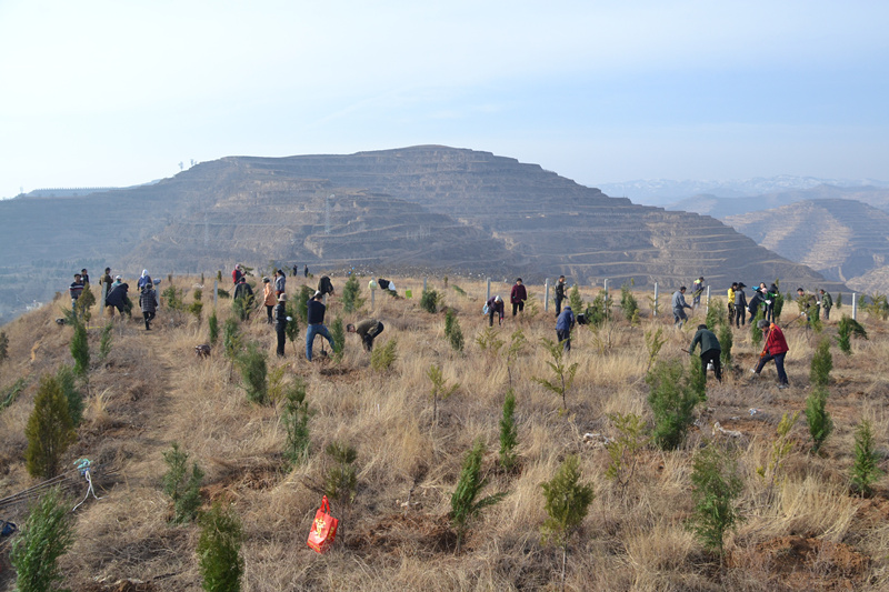 1552617102731454.jpg 07_副本.jpg