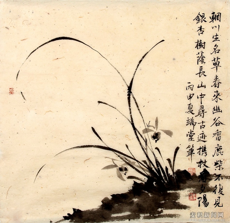 1513737267315379.jpg 2.jpg