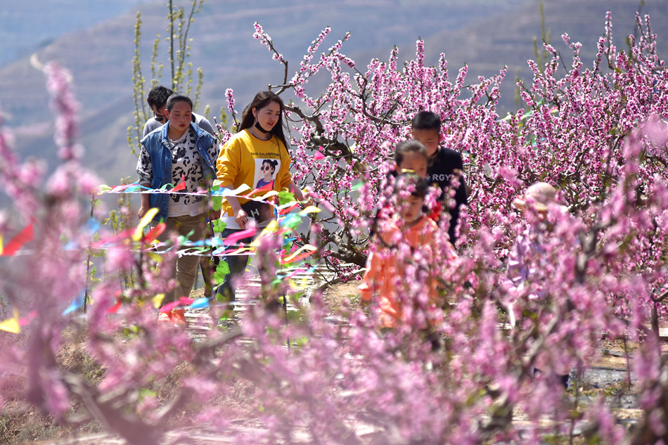 1589712792337326.jpg 2.jpg