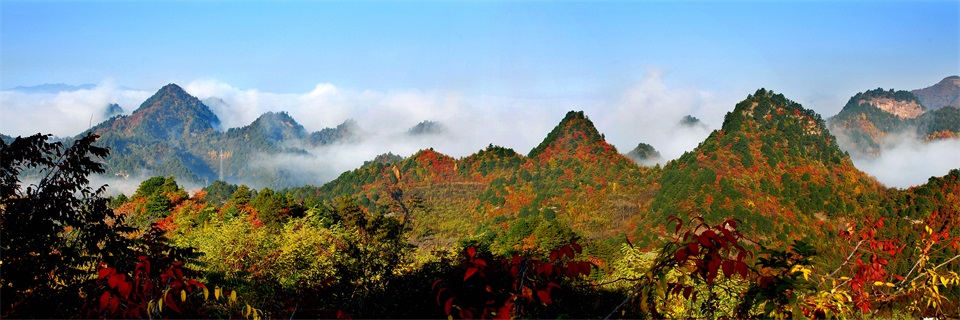 1582277934298554.jpg 小陇山林区选.jpg