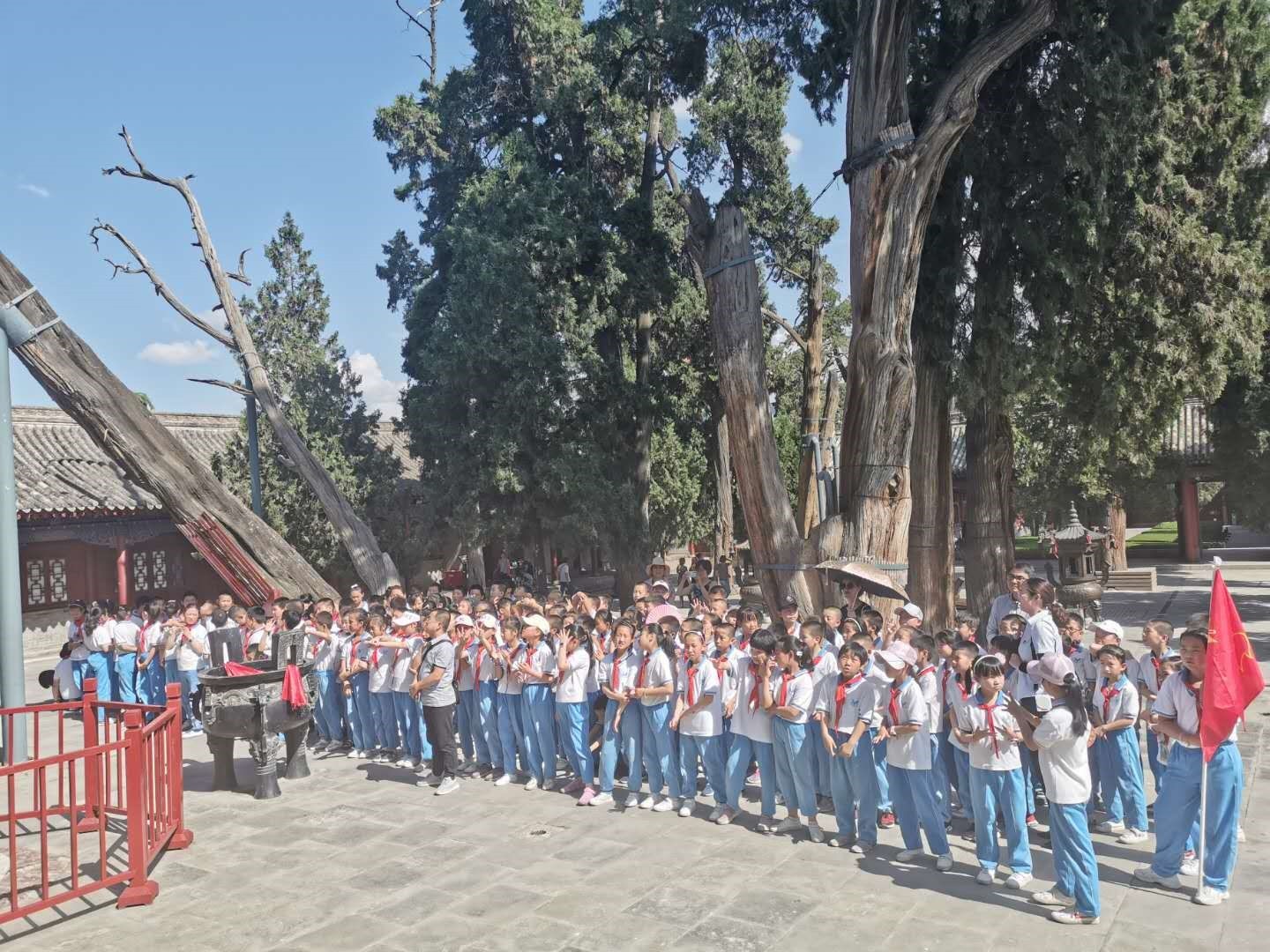 1560742618123380.jpg 7.jpg