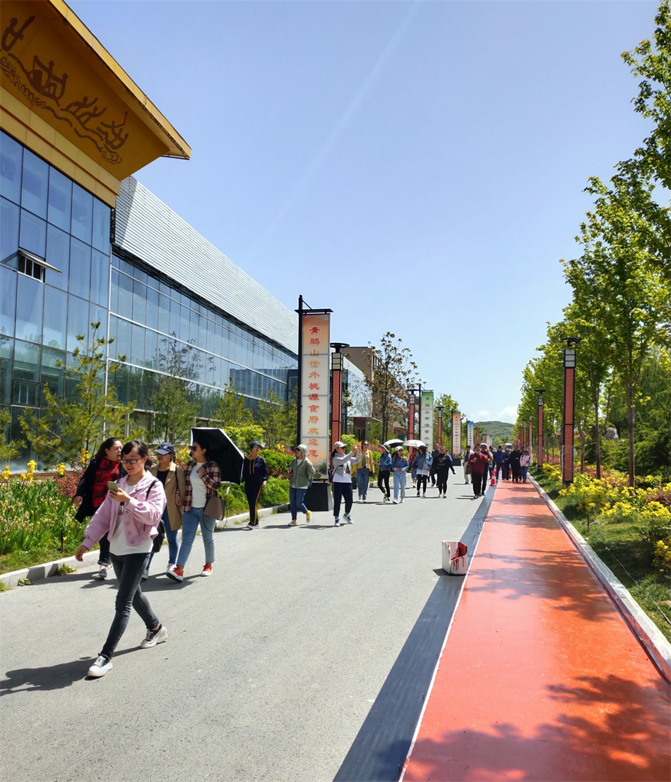 1589594343275102.jpg 2.jpg