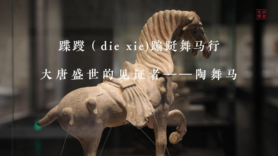 陶舞马视频.jpg 陶舞马视频.jpg