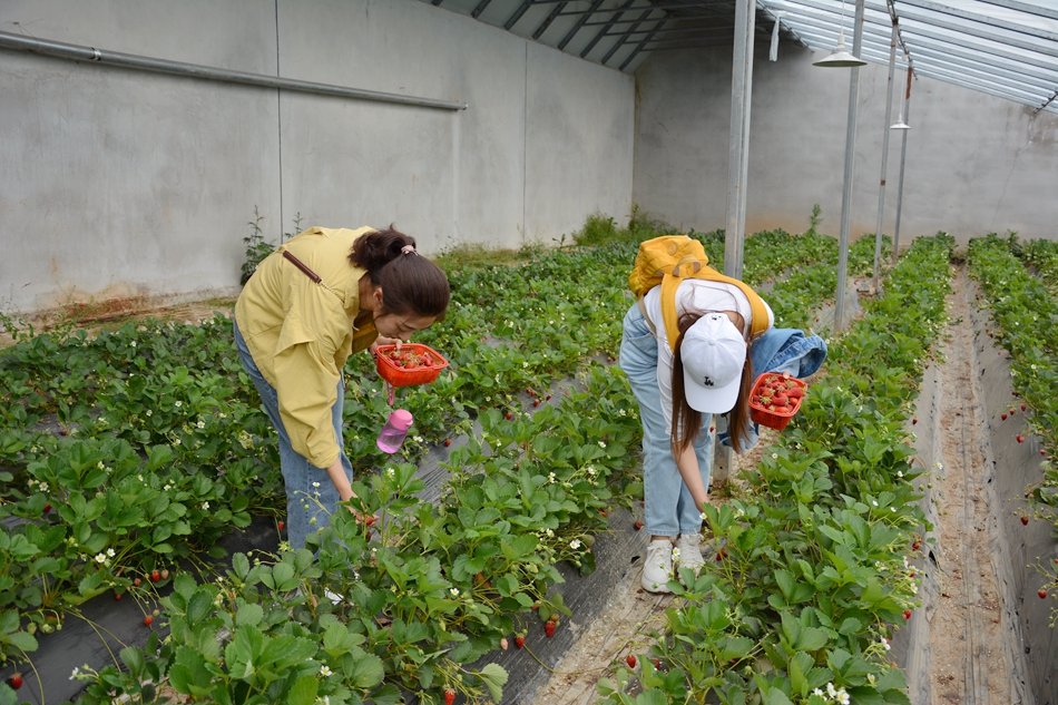 1589594524107816.jpg 1589537512193083.jpg