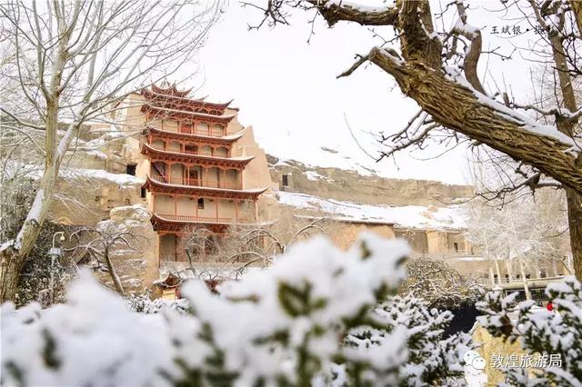 1546393126136522.jpg 1.jpg