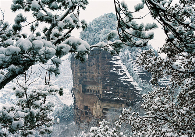 1546393151254576.jpg 3.jpg