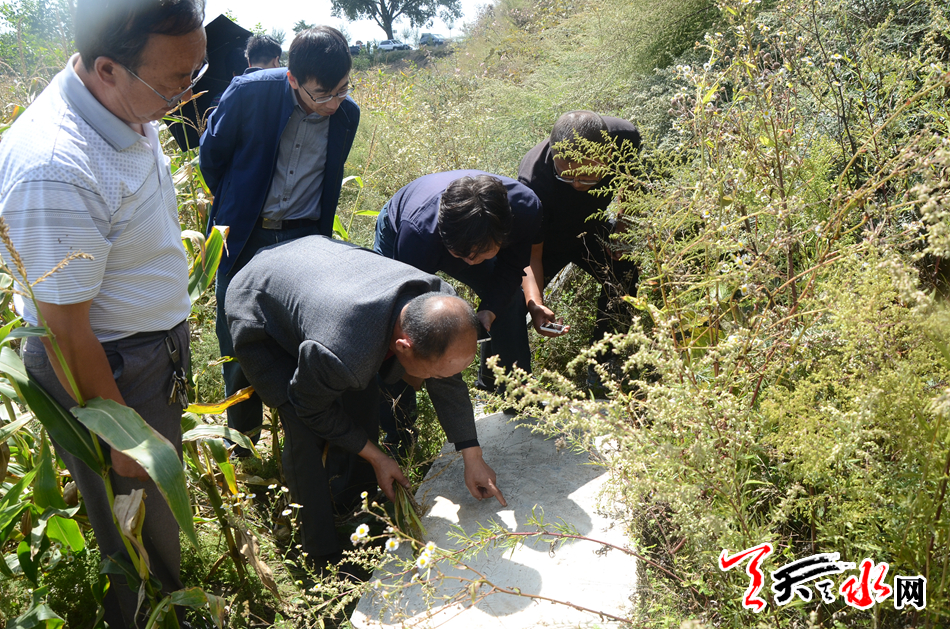 1505441402100014.jpg 9.JPG