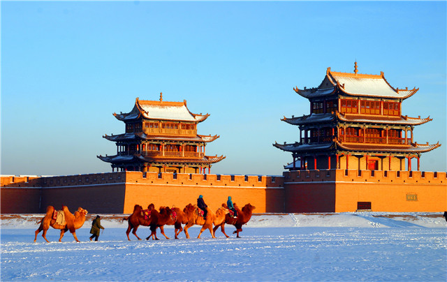 1546393171115643.jpg 5.jpg