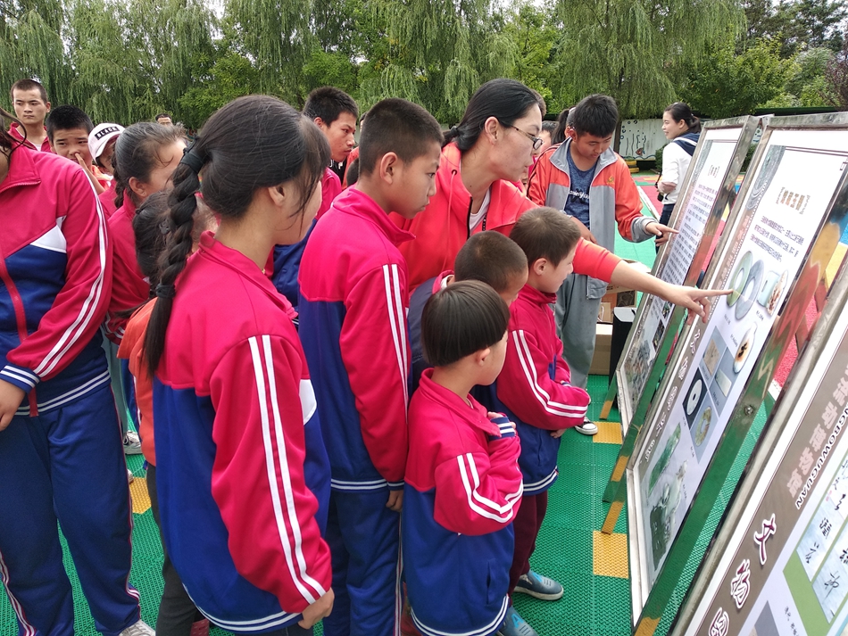 1568619354103349.jpg 图片15.jpg