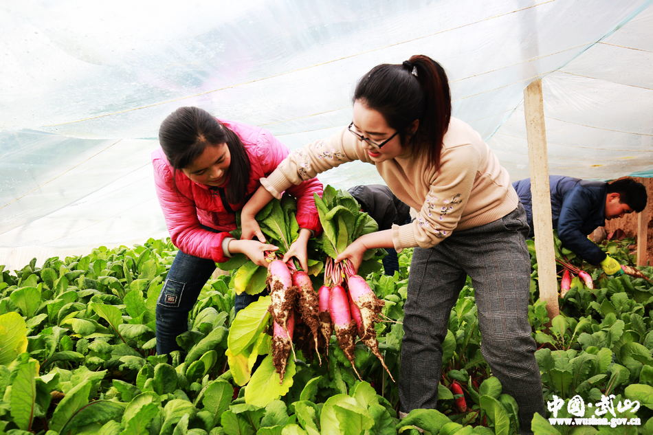 1518921042137426.jpg 3.jpg