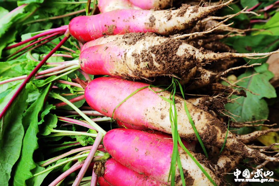 1518921060100737.jpg 5.jpg