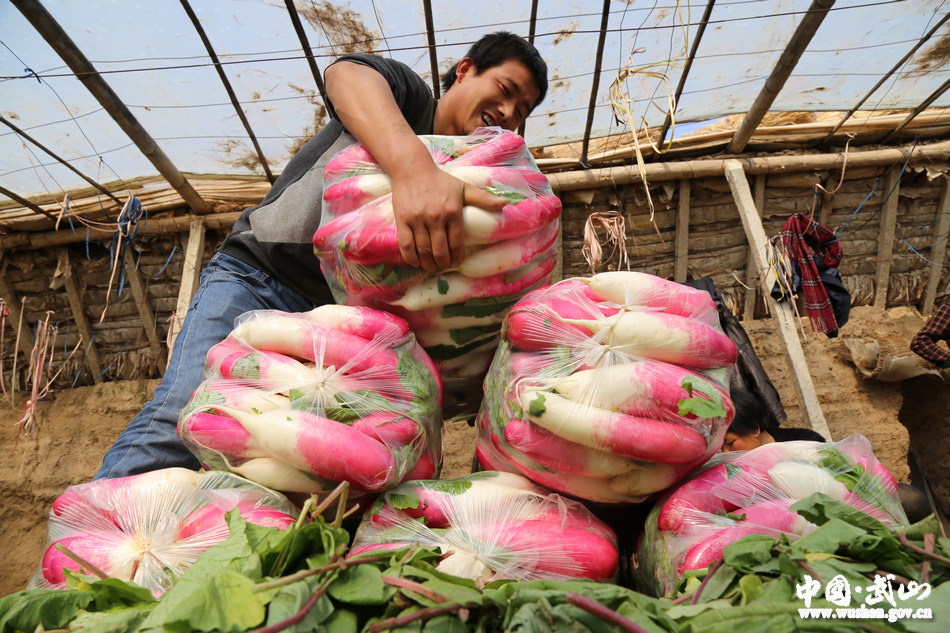 1518921026697631.jpg 1.jpg