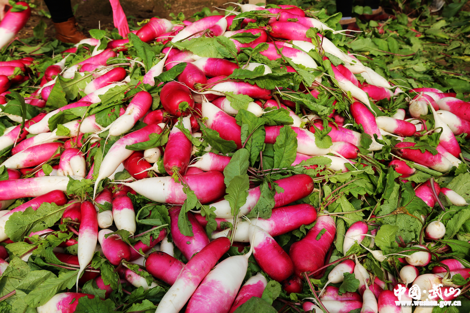 1518921086105217.jpg 8.jpg