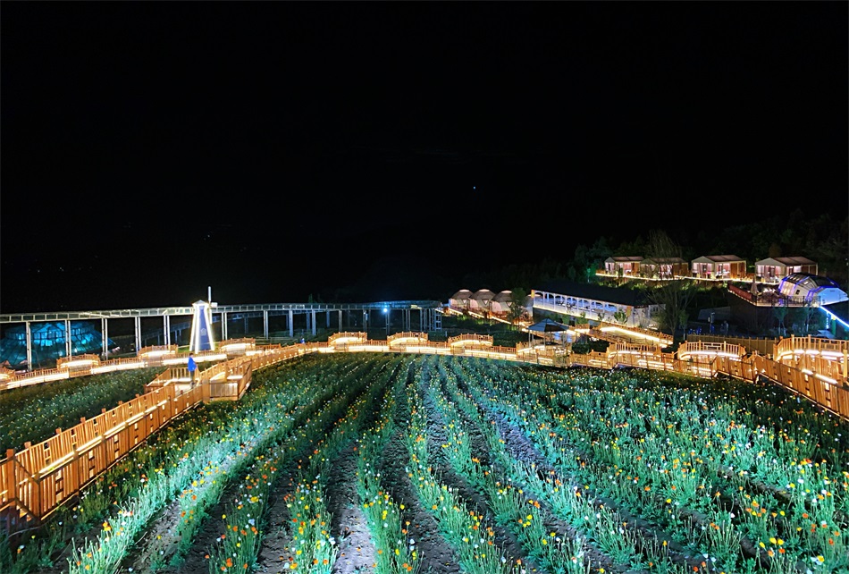 1590570346129224.jpg 9d58bccf5072bfbb15e1e33983e0a34.jpg