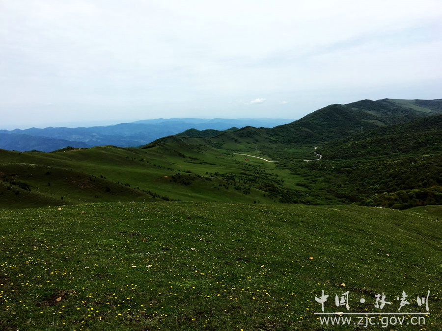 1505115105121199.jpg 13.jpg