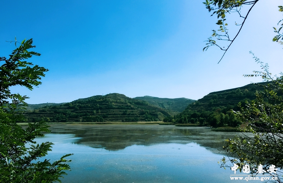 1507532821659246.jpg 2.jpg