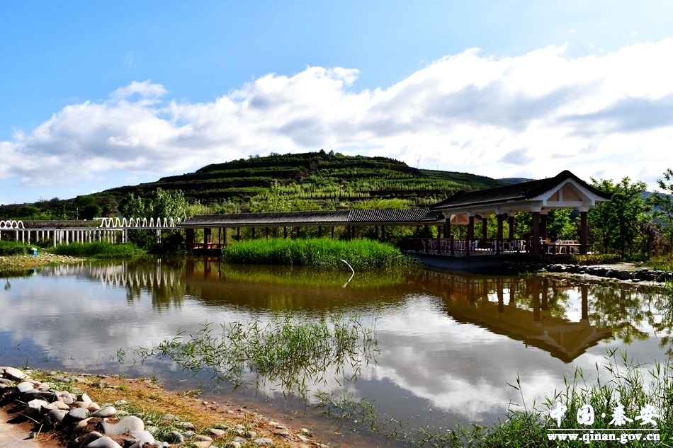 1507532945726376.jpg 4.jpg