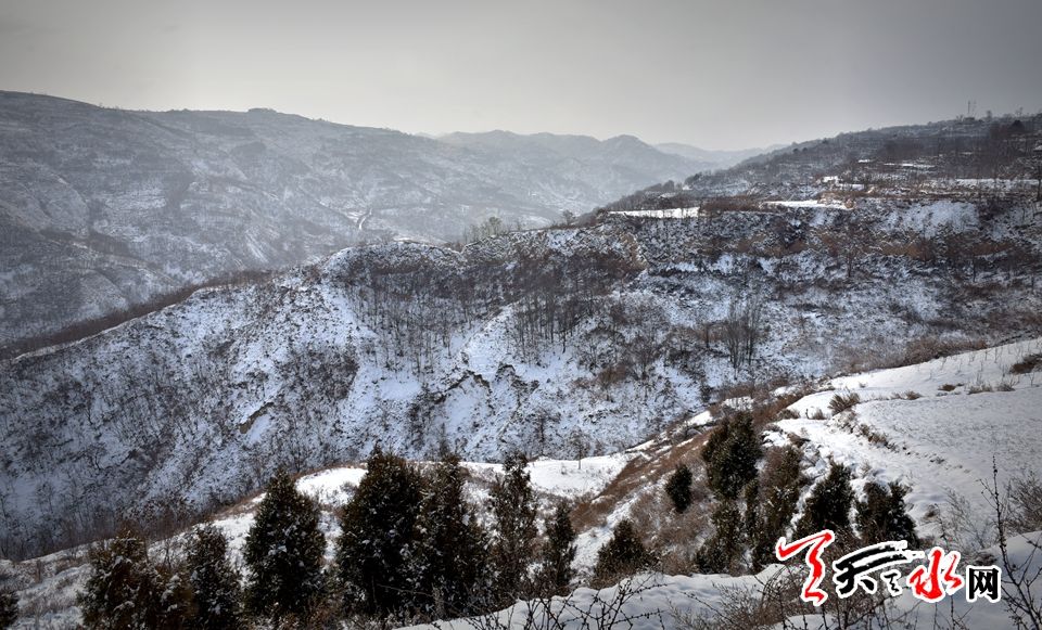 1515485979289431.jpg IMG10c37ba11e9c4654042224.jpg