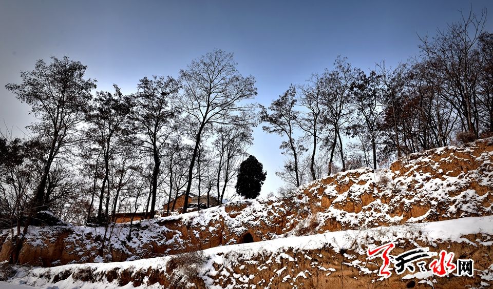 1515486102483203.jpg IMG10c37ba11e9c4654042248.jpg