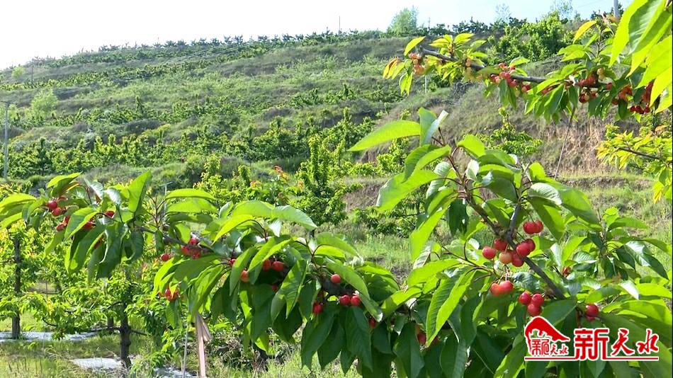 玉泉镇烟铺村.jpg 玉泉镇烟铺村.jpg