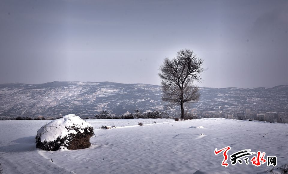 1515486121137064.jpg IMG10c37ba11e9c4654042249.jpg