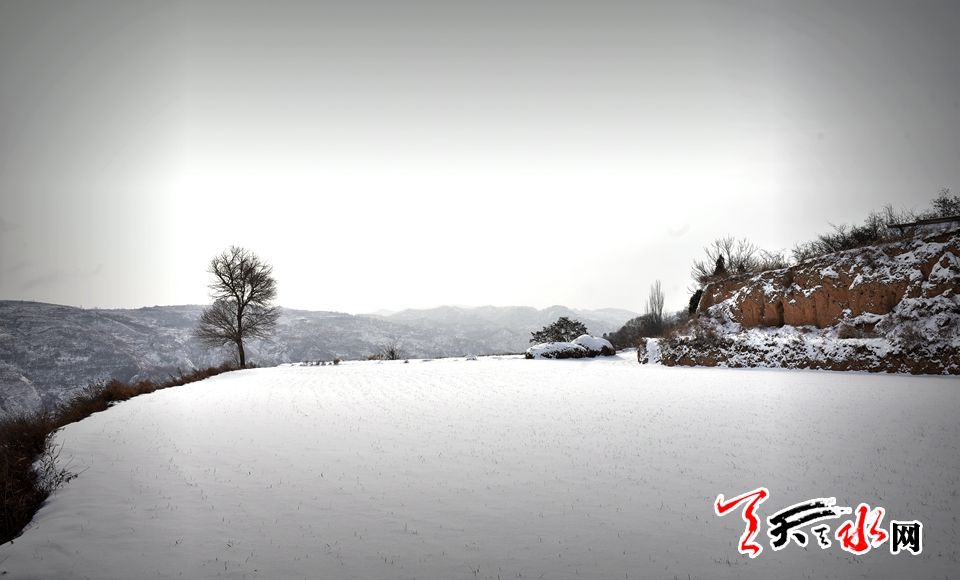 1515486138924193.jpg IMG10c37ba11e9c46540422714.jpg