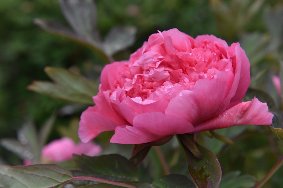 1586918746114163.jpg 图片1.jpg