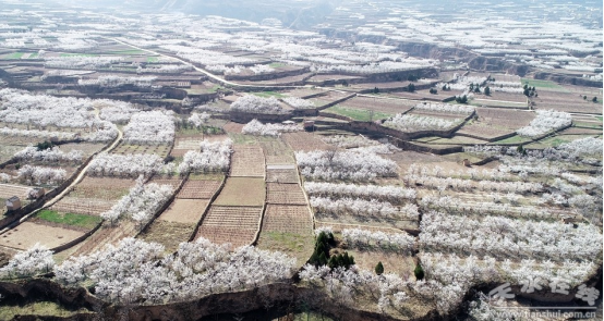 四月春意闹 4.19220.png 四月春意闹 4.19220.png