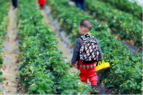 四月春意闹 4.19428.png