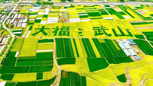 4d8b6516c9ce13cc854d3d4dd7c5817.jpg 4d8b6516c9ce13cc854d3d4dd7c5817.jpg