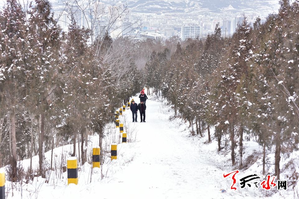 1515486382134431.jpg IMG10c37ba11e9c46540423534.jpg