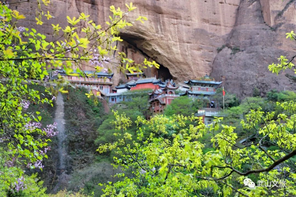 图片7.jpg 图片7.jpg