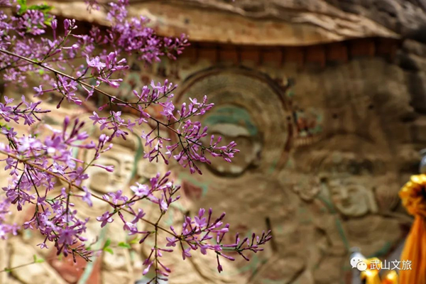 图片5.jpg 图片5.jpg