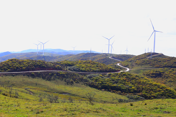 图片9.jpg 图片9.jpg