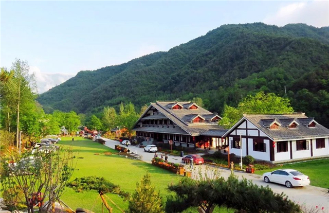 1547084106826984.jpg 1.jpg