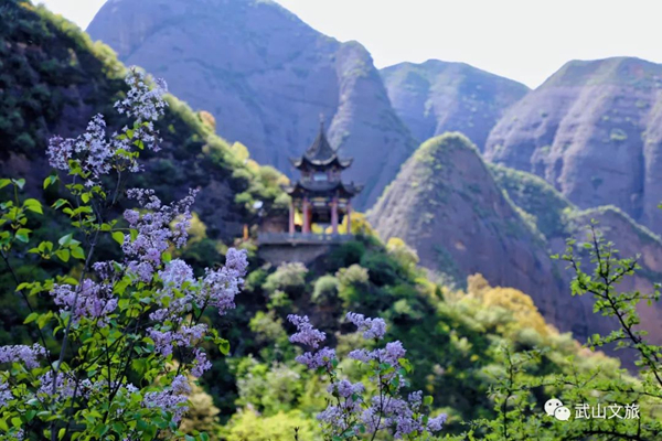 图片6.jpg 图片6.jpg