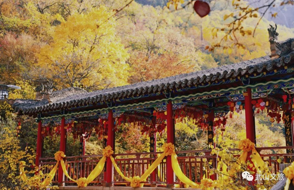 图片12.jpg 图片12.jpg