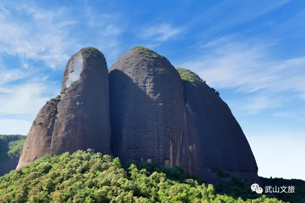 图片11.jpg 图片11.jpg