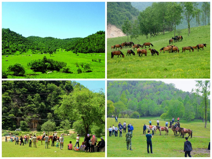 图片1.jpg 图片1.jpg