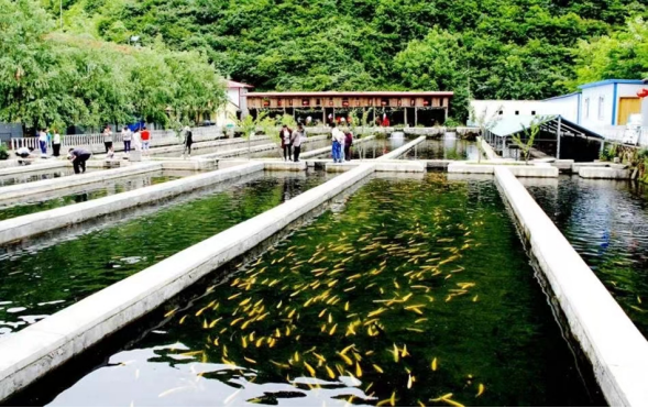 抓项目 强基础 优化旅游大环境——武山县创建全域旅游侧记二1342.png