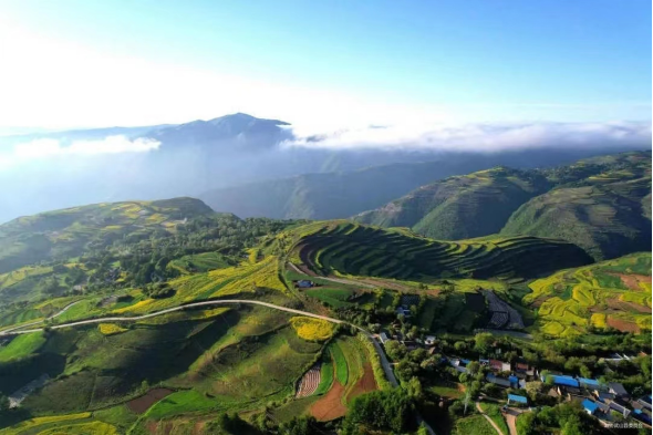 抓项目 强基础 优化旅游大环境——武山县创建全域旅游侧记二33.png 抓项目 强基础 优化旅游大环境——武山县创建全域旅游侧记二33.png