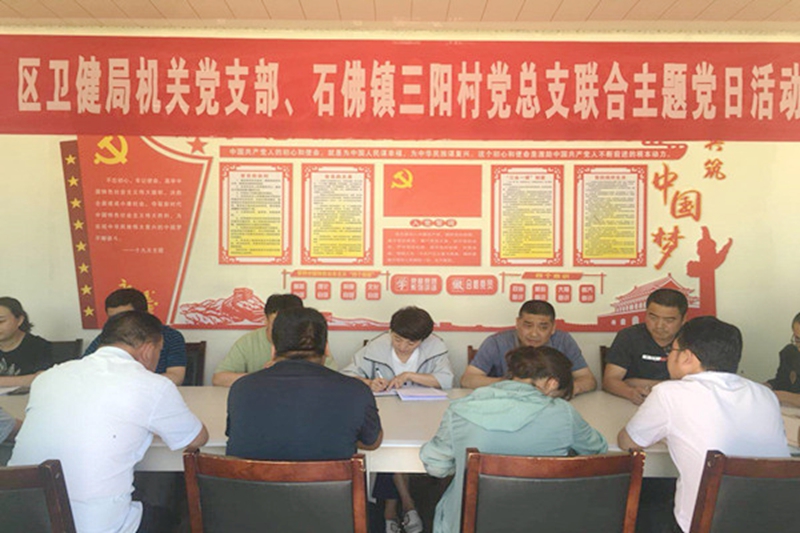 麦积区卫健局机关党支部与石佛镇三阳村党总支联合开展主题党日活动1_副本.jpg