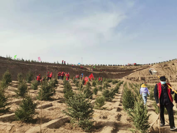 武山县文旅局开展植树活动318.png 武山县文旅局开展植树活动318.png
