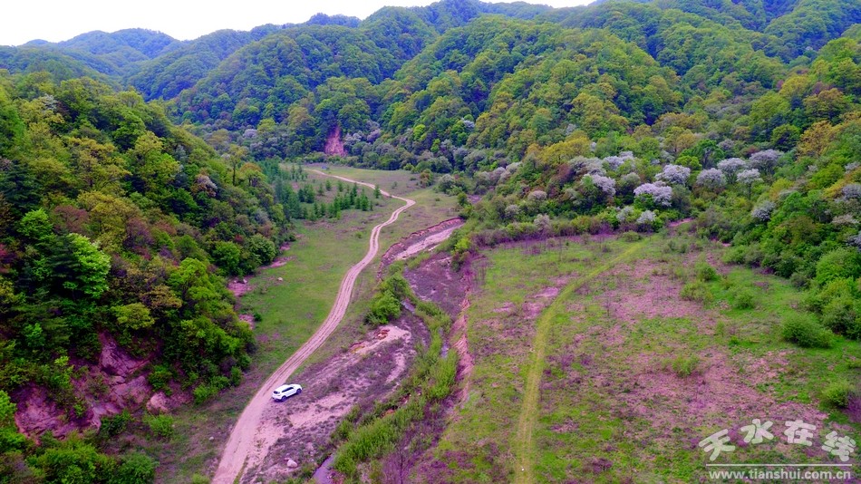 1510884918761232.jpg 2.jpg