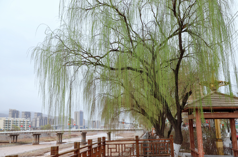 IMG_20220317_154355.jpg IMG_20220317_154355.jpg