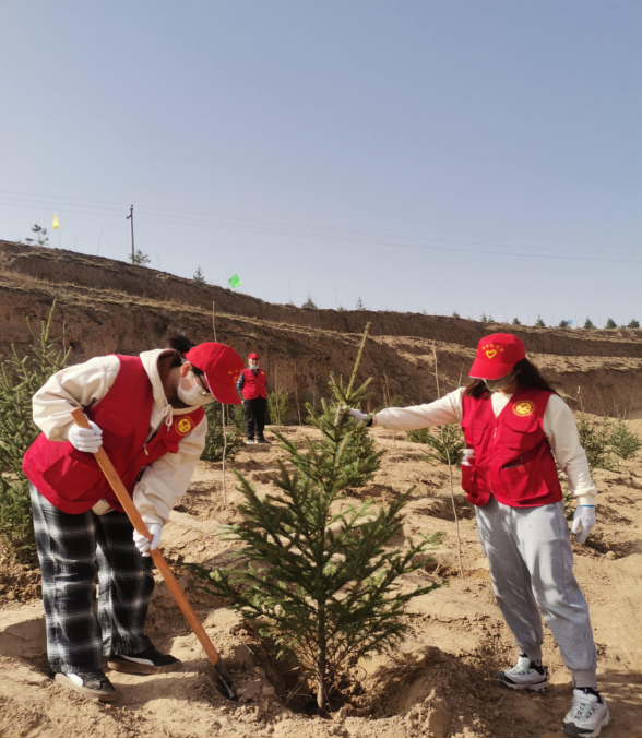 武山县文旅局开展植树活动258.png
