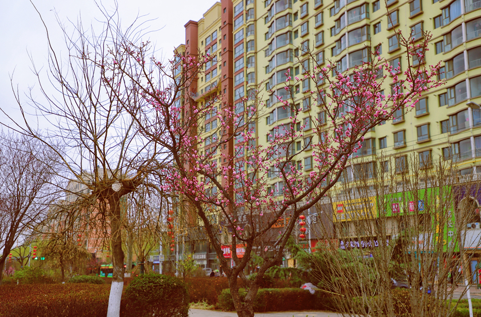 IMG_20220317_154309.jpg IMG_20220317_154309.jpg